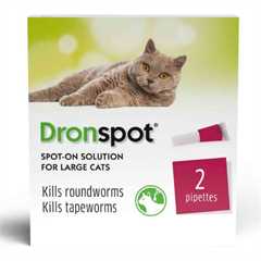 Dronspot Spot On Worming Solution for Large Cats 5-8kg